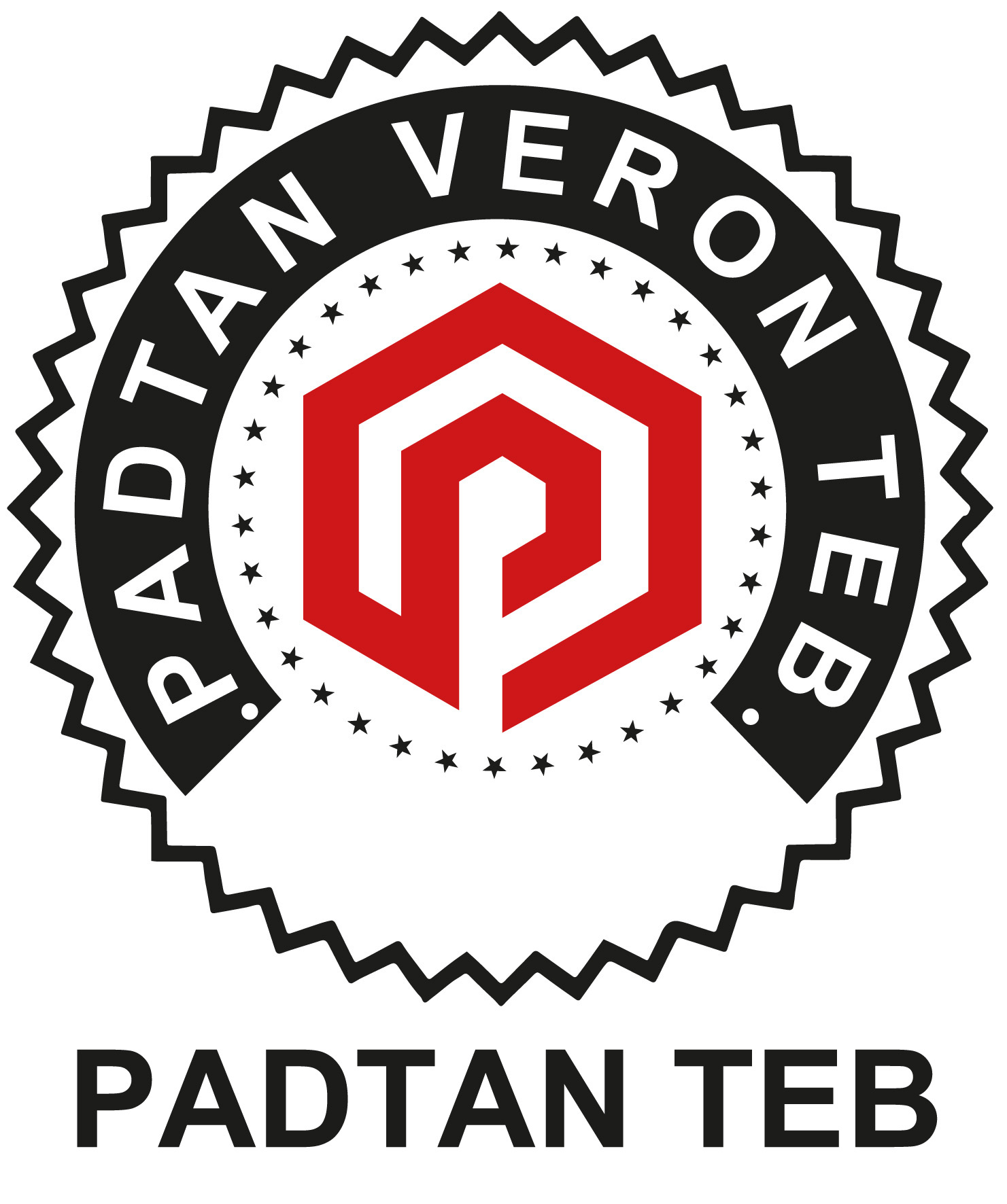 شرکت پادتن طب