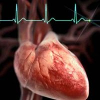 ارتباط بیماری‌های قلب و عروق با ژنتیک