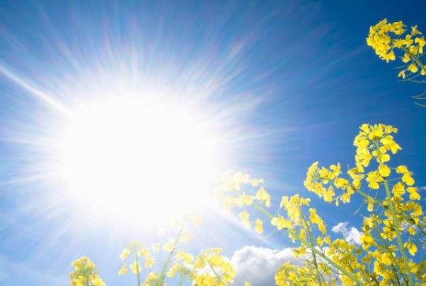 اشعه ماوراءبنفش خورشید تهدیدی برای سلامت چشم ها