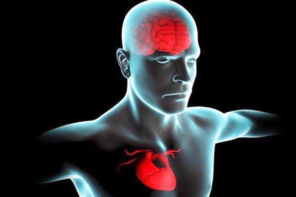 پروتئین مرتبط با بیماری قلبی منجر به آسیب مغزی می شود