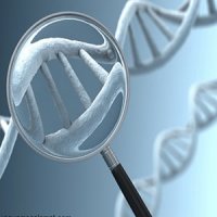 پرداخت کمک هزینه انجام آزمایش ژنتیک