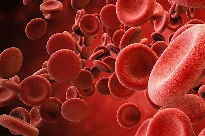 کشف منبع جدید سلول های خونی در بدن
