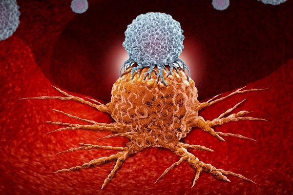 نابودی سلول های سرطانی با تلفیق داروهای دو سرطان