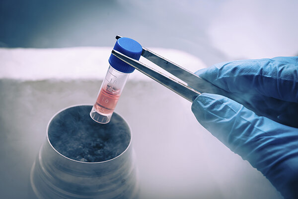 سلول‌های بنیادین کبد و پانکراس در محیط آزمایشگاهی تولید شدند