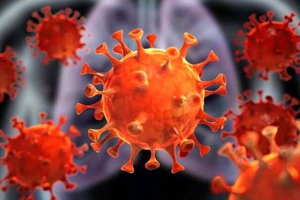نوع جدیدی از ویروس کرونا در مالزی کشف شد