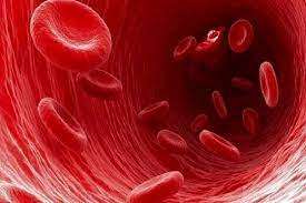نشانه های کم خونی در زنان/ کمبود آهن بدن چگونه درمان می شود