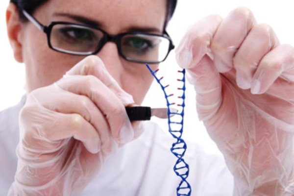 امکان حذف بیماری از روی DNA