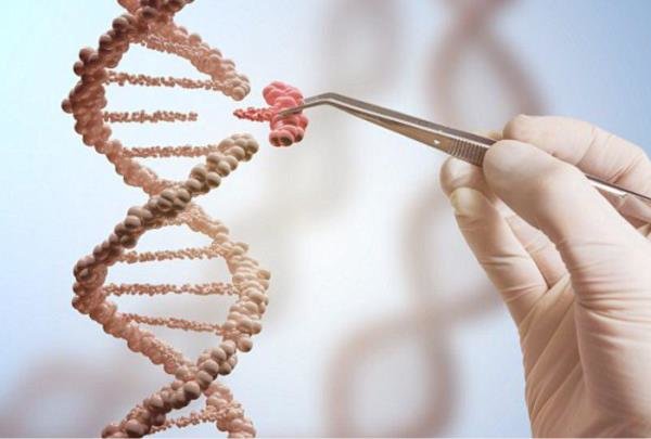 اصلاح ژنتیکی در نطفه انسانی با موفقیت آزمایش شد