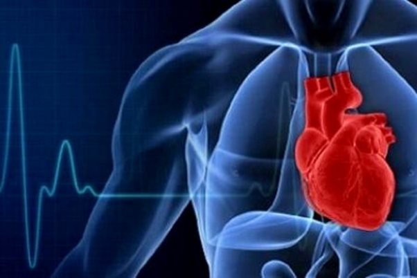 هورمون های قلب عاملی حفاظتی در مقابل تاثیرات رژیم غذایی پرچرب