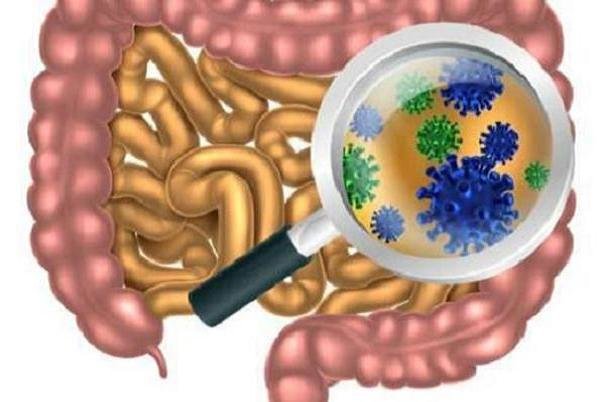 میکروب های روده عامل بروز افسردگی افراد