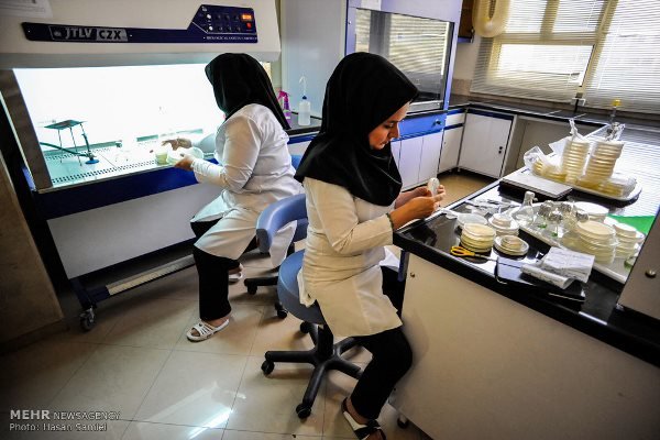 تلاش محققان ایرانی برای تولید داروی سرطان سینه با محصولات میکروبی