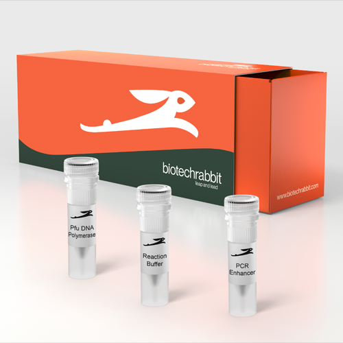 آنزیم DNA پلیمراز Pfu - Pfu DNA Polymerase -  biotechrabbit GmbH  - کیت - سلولی و مولکولی - فرداد آزما راد