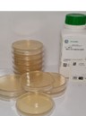 محیط کشت مولر هینتون آگار - Mueller Hinton Agar - تیسا ژن - مصرفی - میکروبیولوژی و انگل شناسی - تیسا ژن زیست