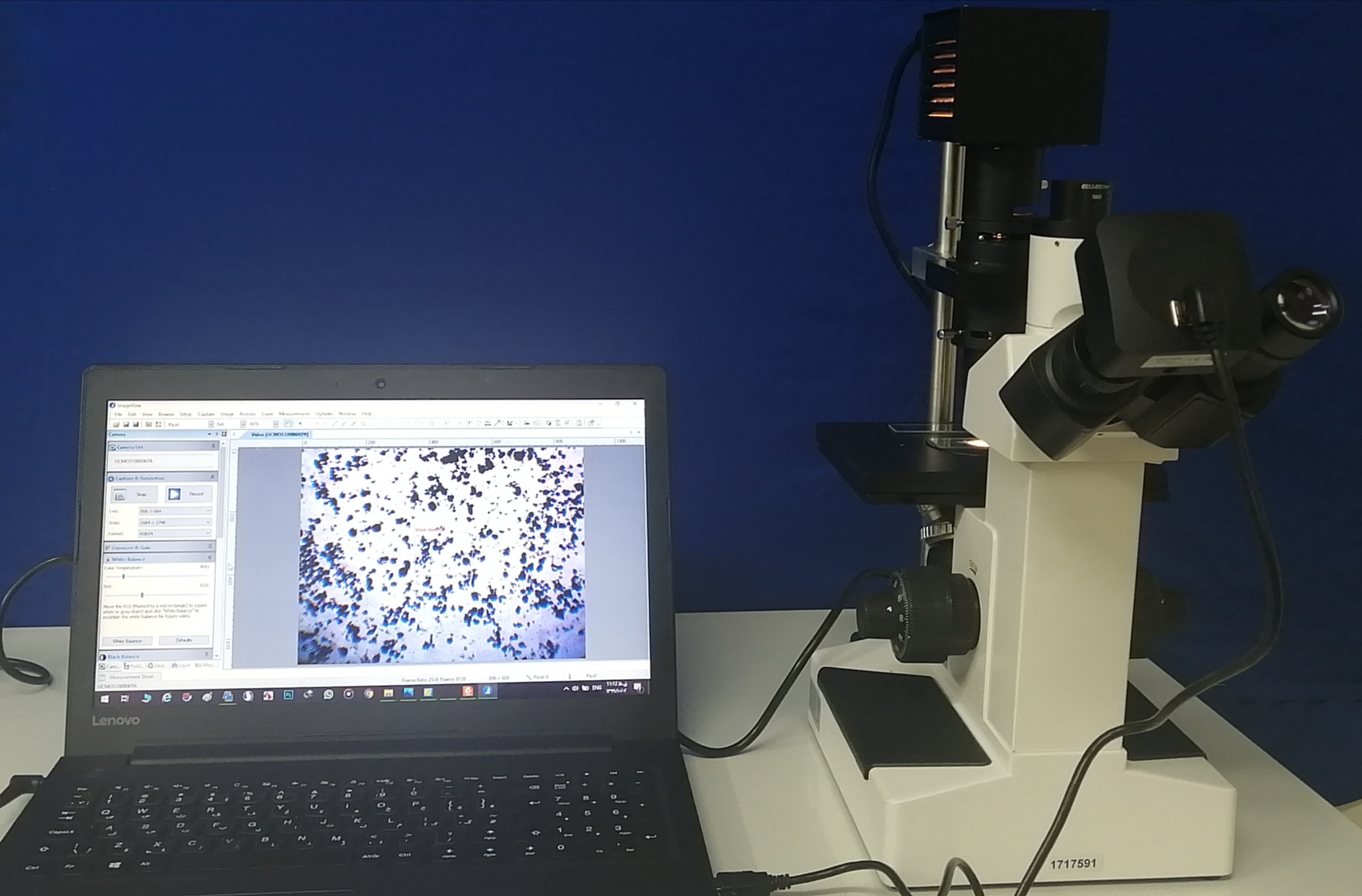 دوربین دیجیتال میکروسکوپی - digital microscope camera - چینی - دستگاه - دستگاه ها و ملزومات آزمایشگاهی - تعاونی زیست راه دانش