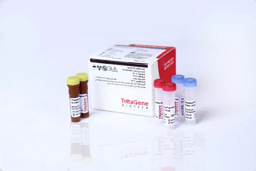 Trita FetusGene® Multiplex QF-PCR Diagnostic Kit - Trita FetusGene® Multiplex QF-PCR Diagnostic Kit - TritaGene - کیت - سلولی و مولکولی - تولیدی تحقیقاتی تریتاژن زیست فناور