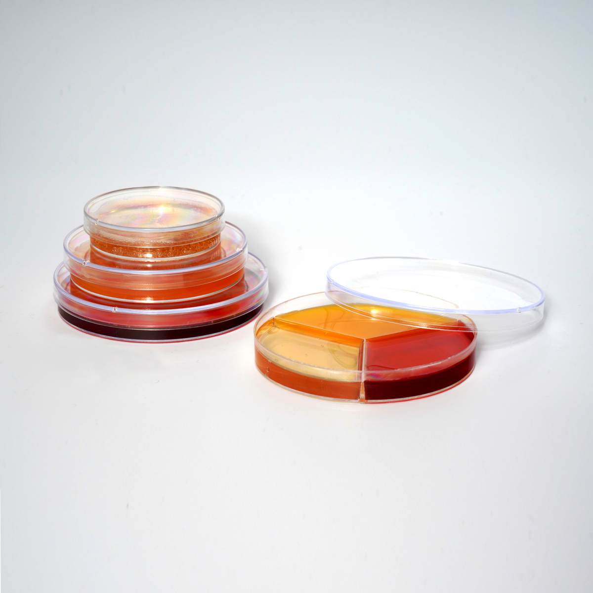پتری دیش میکروبی 10 سانتی متر سه خانه - Microbial Petri Dish - نوآوران تولید پویا    NTP - مصرفی - میکروبیولوژی و انگل شناسی - نوآوران طب بین الملل