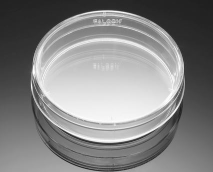پتری دیش 60 فالکون - mm TC- 353652-60 Treated In Vitro Fertilization (IVF) Dish - کورنینگ - مصرفی - سلولی و مولکولی - وندا طب